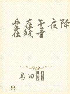 爱在午夜降临前在线看