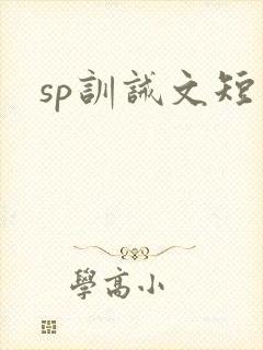 sp训诫文短篇
