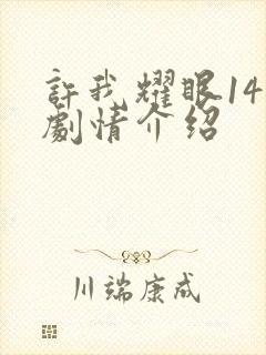 许我耀眼14集剧情介绍