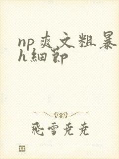 np爽文粗暴高h细节