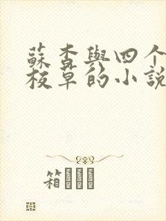 苏杳与四个国防校草的小说