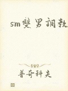 sm双男调教文