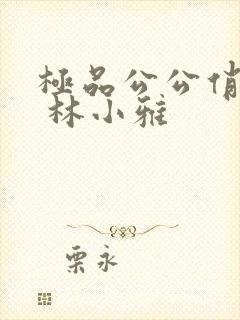 极品公公俏儿媳 林小雅