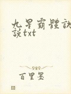 九星霸体诀 小说txt