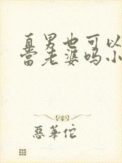 直男也可以给人当老婆吗小说