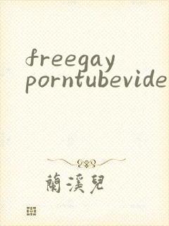 freegayporntubevideos