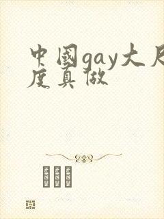 中国gay大尺度真做
