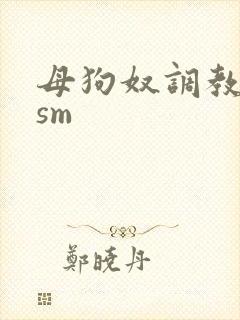 母狗奴调教虐玩sm