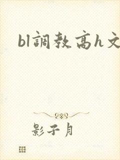 bl调教高h文