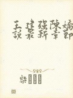 王建强陈娇娇小说最新章节封面
