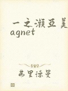 一之濑亚美莉magnet