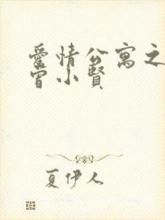 爱情公寓之极品曾小贤