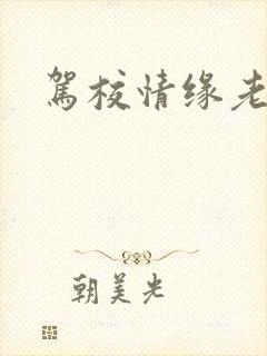 驾校情缘老赵