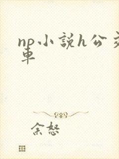 np小说h公交车