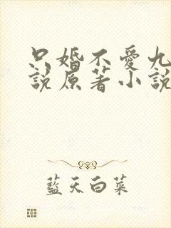 只婚不爱九醉小说原著小说叫什么名字