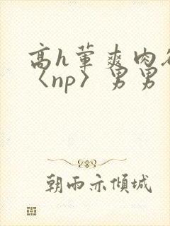 高h荤爽肉欲文〈np〉男男