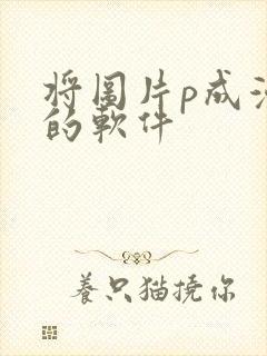 将图片p成漫画的软件