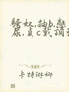 骚奴,抽b,憋尿,贞c戴调教小说