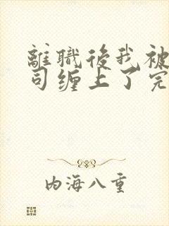 离职后我被前上司缠上了完整版