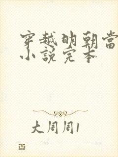 穿越明朝当皇帝小说完本