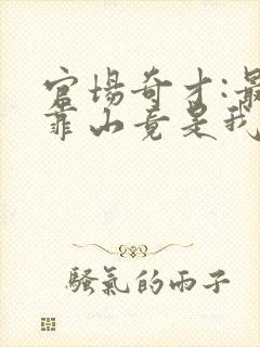 官场奇才:最强靠山竟是我自己李澜全文小