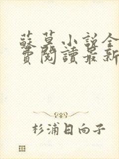 苏莫小说全文免费阅读最新章节封面