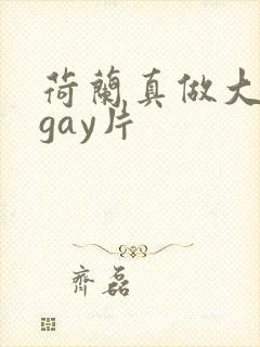 荷兰真做大尺度gay片封面