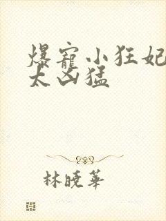 爆宠小狂妃皇叔太凶猛