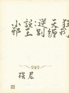 小说:逆天狂妃邪王别缠我