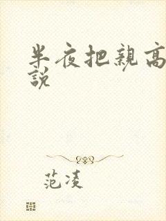 半夜把亲高潮小说
