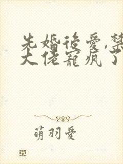 先婚后爱,禁欲大佬宠疯了
