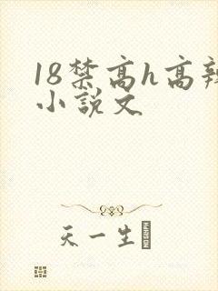 18禁高h高辣小说文