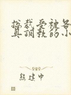 总裁受被各种道具调教的小说