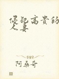 侵犯高贵的美丽人妻