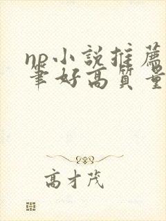 np小说推荐文笔好高质量