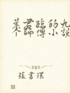 叶君临的九十九个师傅小说