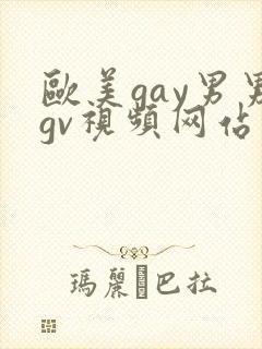 欧美gay男男gv视频网站封面
