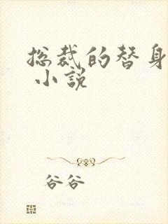 总裁的替身前妻 小说