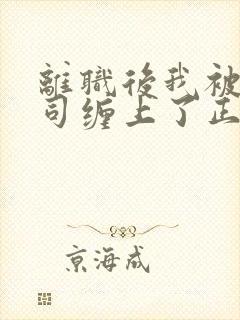 离职后我被前上司缠上了正