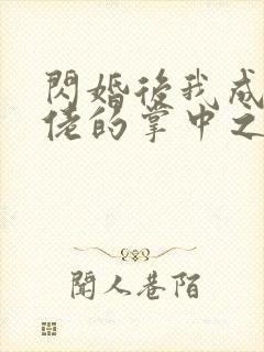 闪婚后我成了大佬的掌中之物续集