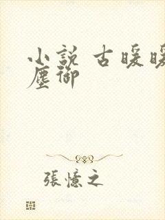 小说 古暖暖江尘御