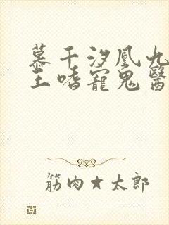 慕千汐凰九夜邪王嗜宠鬼医狂妃无弹窗