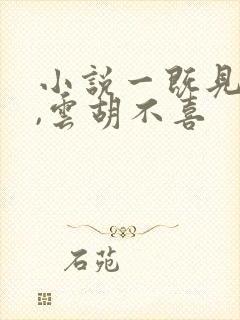 小说一既见君子,云胡不喜封面