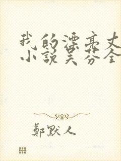 我的漂亮丈母娘小说吴芬全文阅读