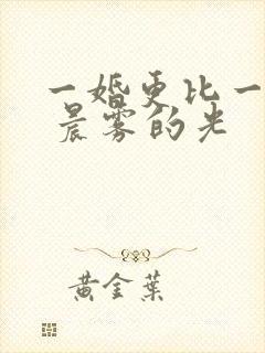 一婚更比一婚高 晨雾的光