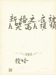新婚之夜被肉伦h哭高h视频