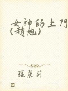 女神的上门贵婿(赵旭)