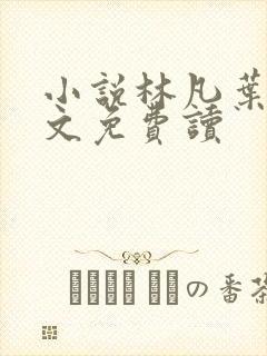 小说林凡叶惜全文免费读