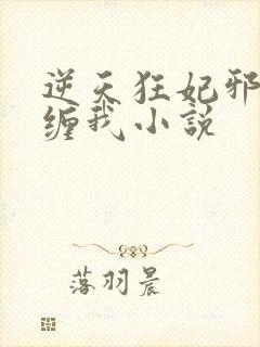 逆天狂妃邪王别缠我小说封面