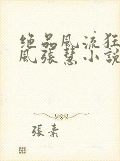 绝品风流狂医林风张慧小说全集看